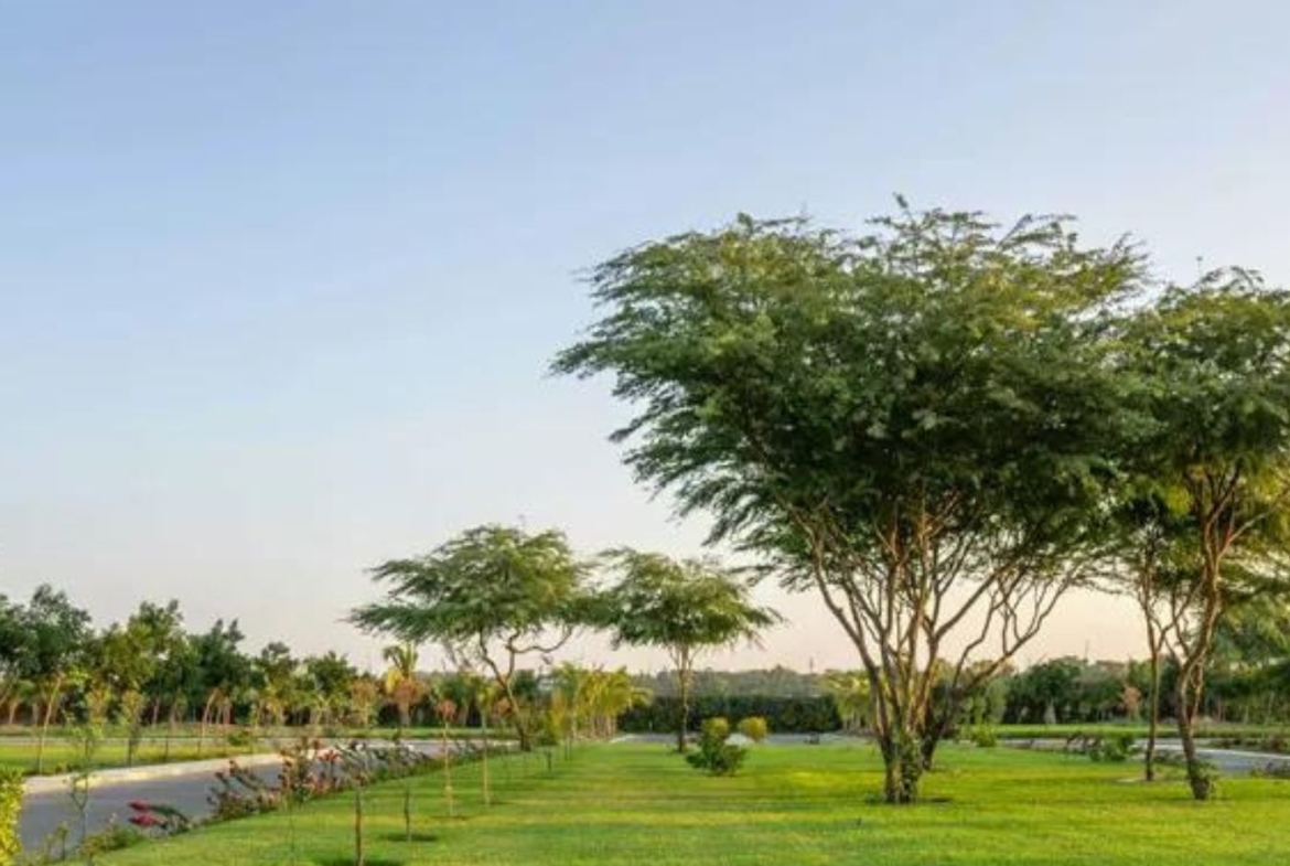 Arabian Hills Sets A New Benchmark For Opulent Living In Dubai (6)